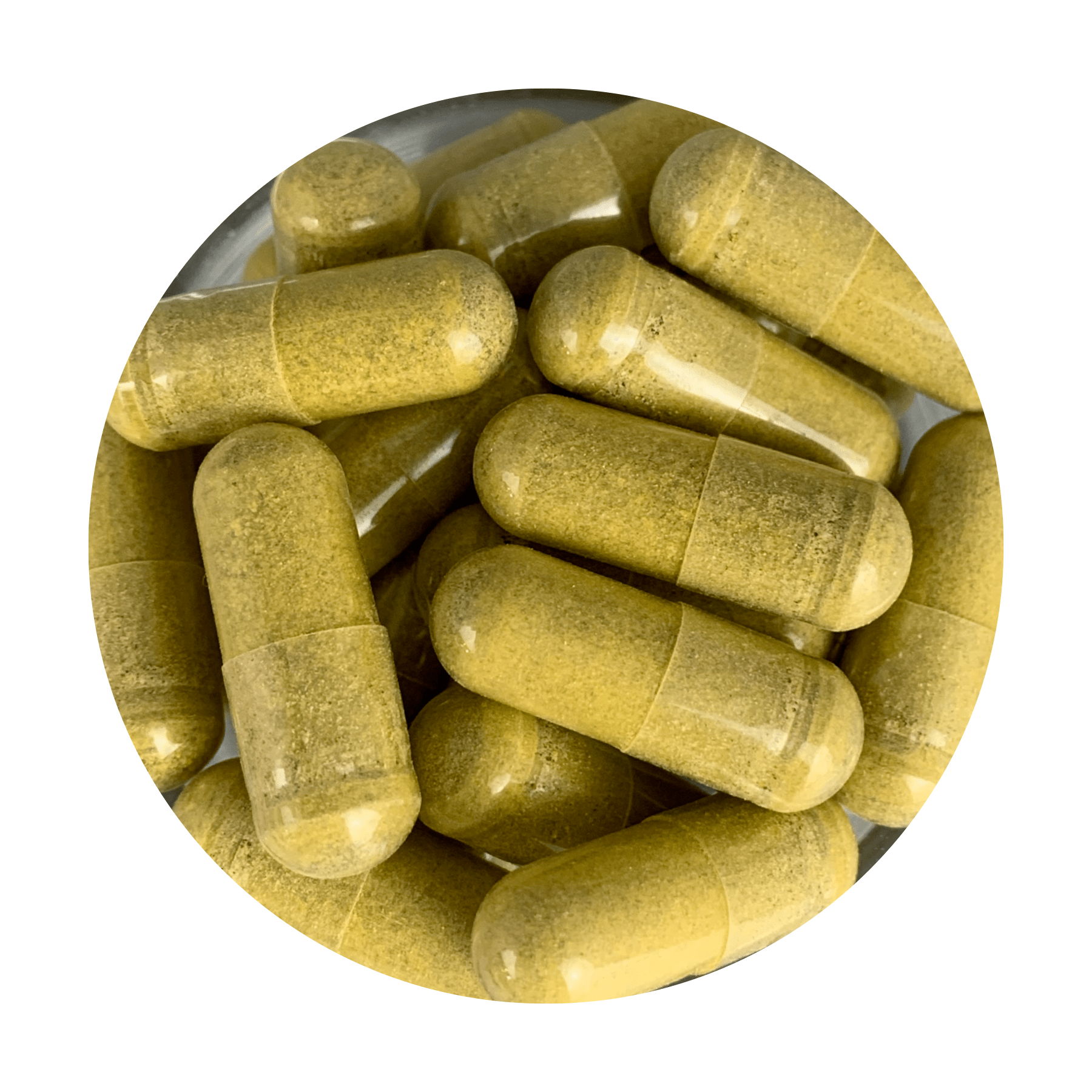 Young Life Daily The Longevity Edge