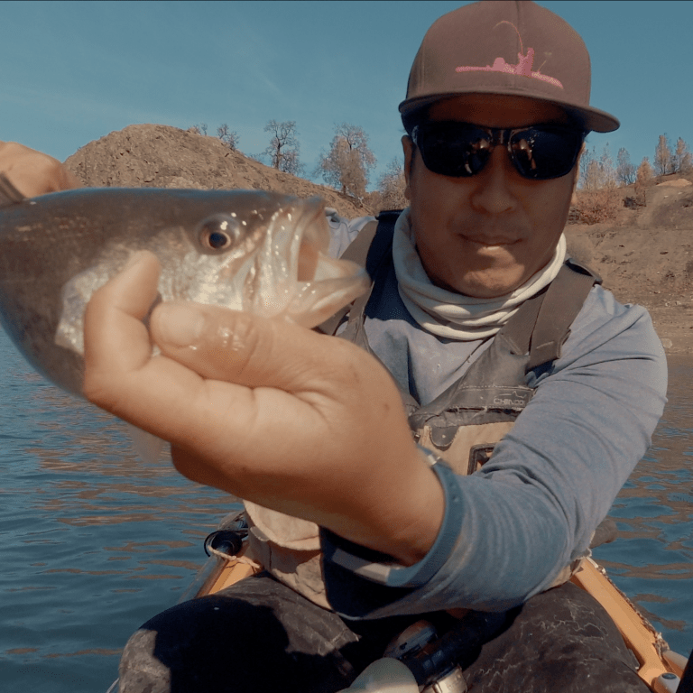 Lake Berryessa King Salmon Slam The Lost Anchovy