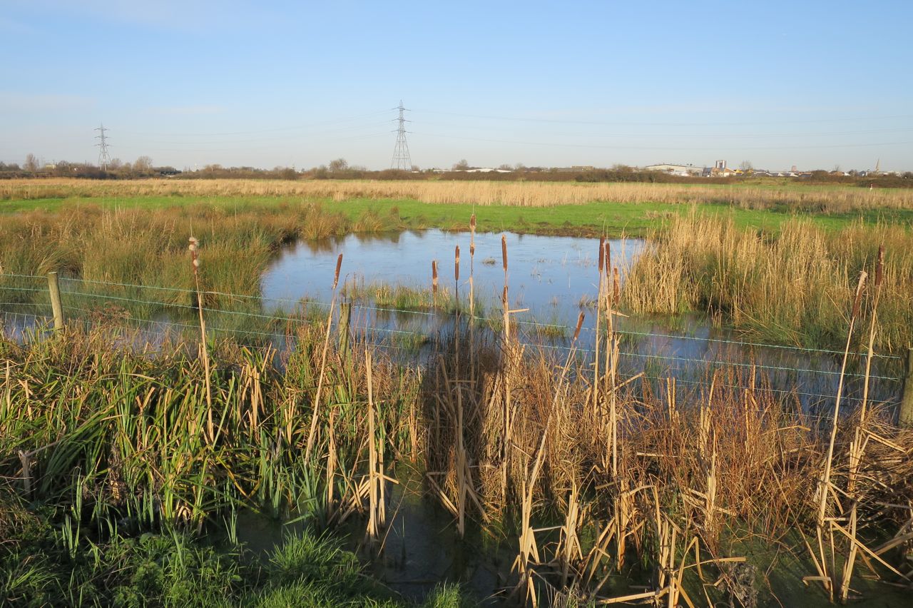Over the marshes to the Signature Brew Backstage Bar the lost byway