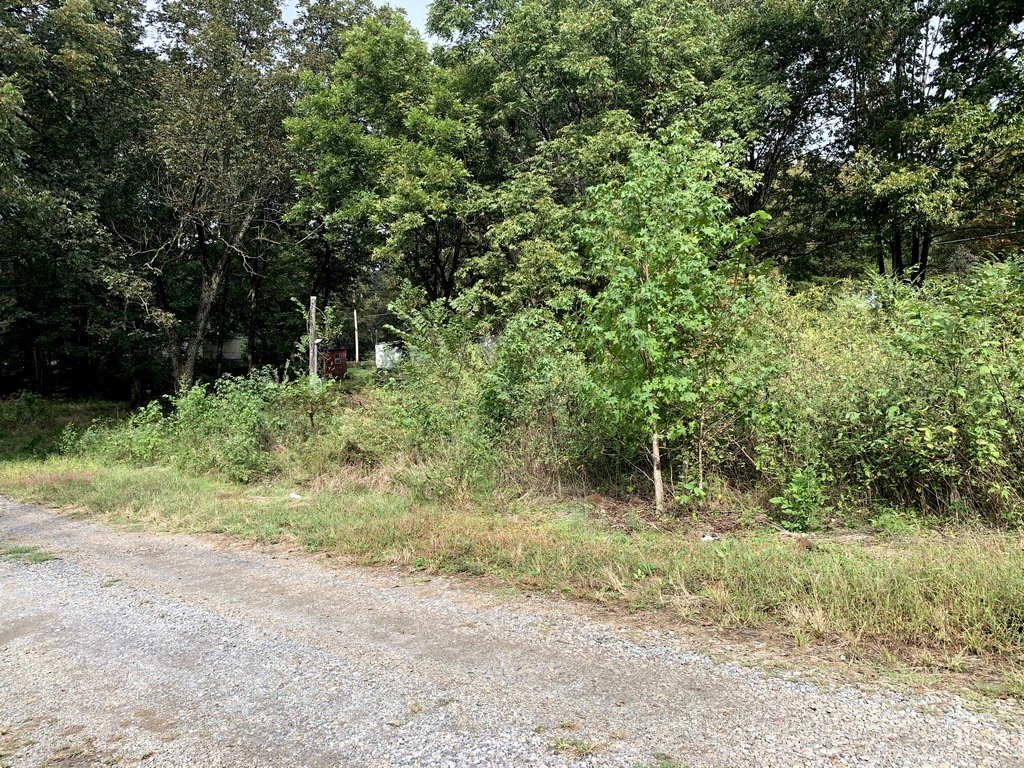0 Bridges St, De Valls Bluff, AR 72041 For Sale The Lot Store