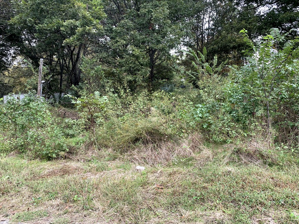 0 Bridges St, De Valls Bluff, AR 72041 For Sale The Lot Store