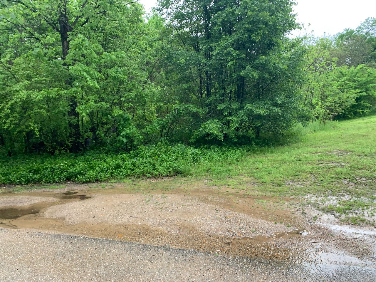 0 Beech Street, Black Rock, AR 72415 For Sale The Lot Store