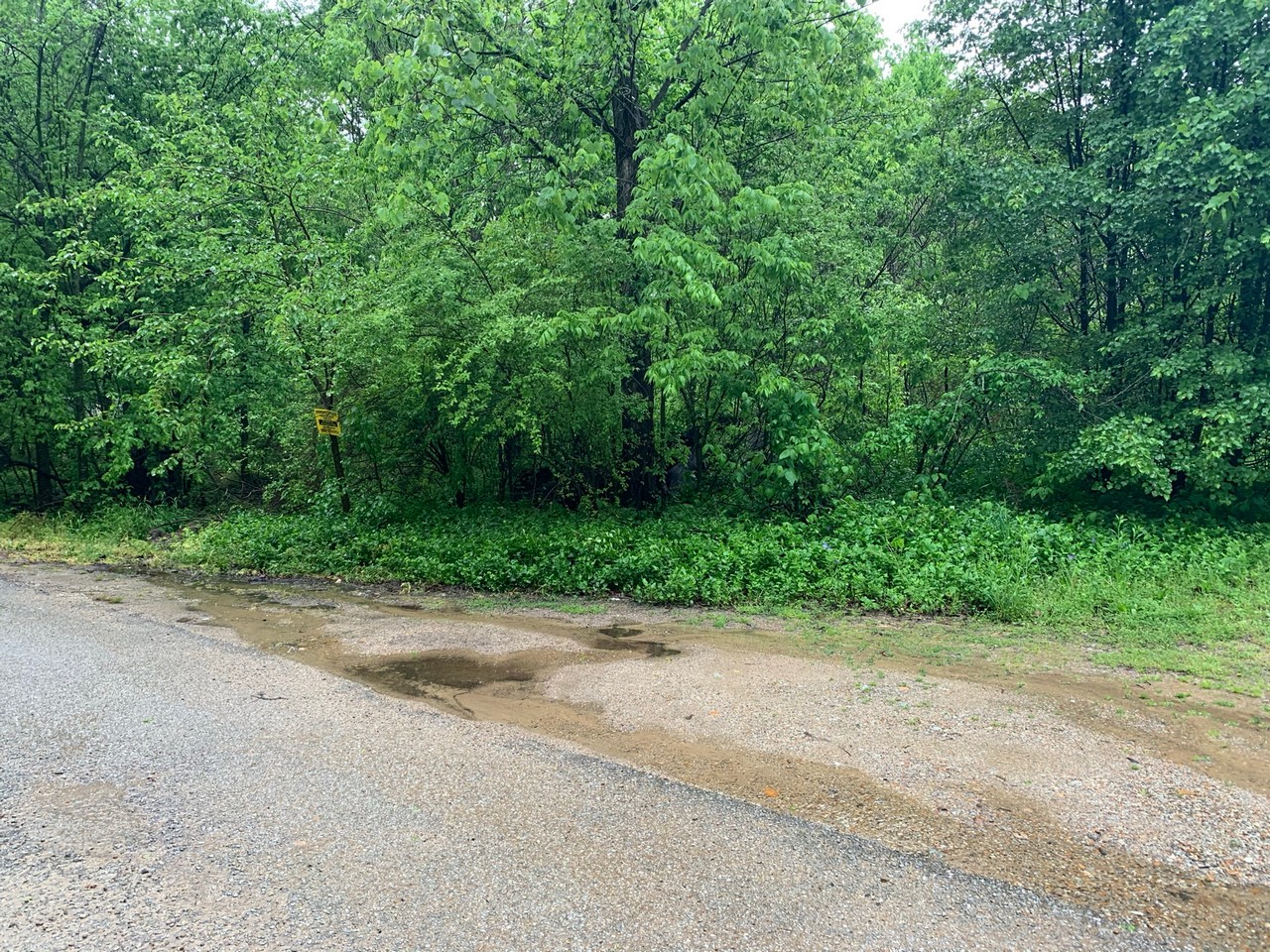 0 Beech Street, Black Rock, AR 72415 For Sale The Lot Store