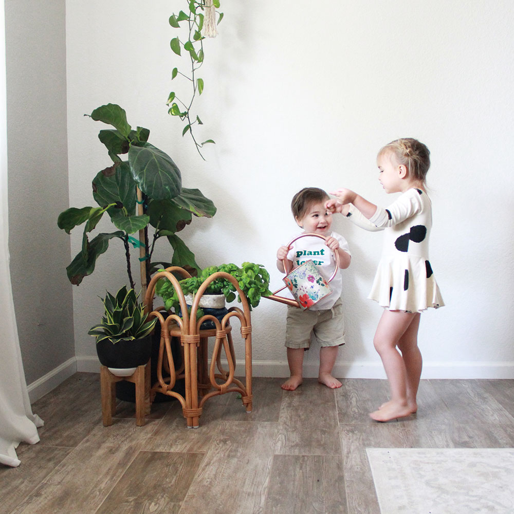 how to take better pictures for instagram the love designed life