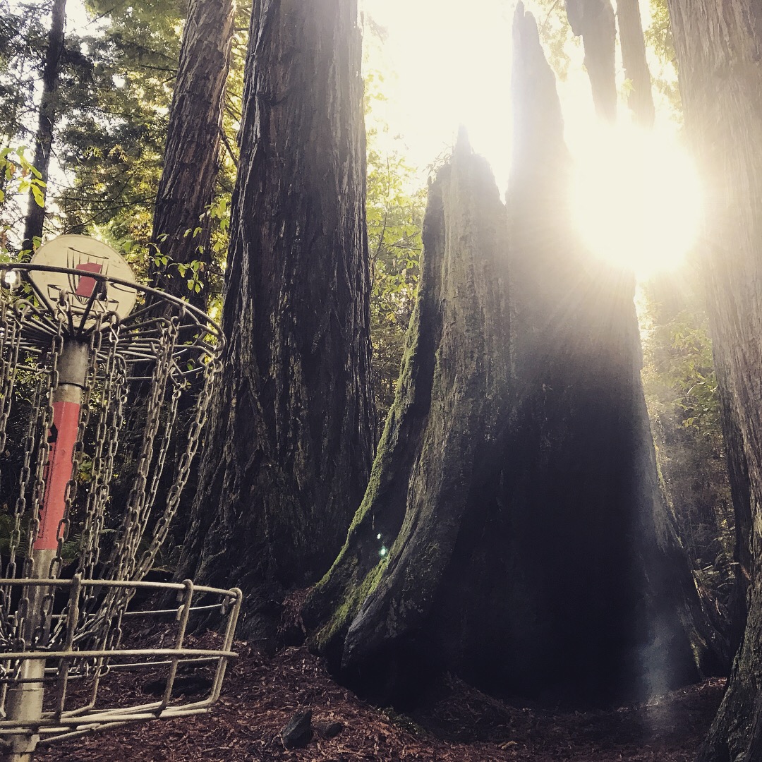 Redwood Curtain Is A Diamond In The Rough The Lumberjack