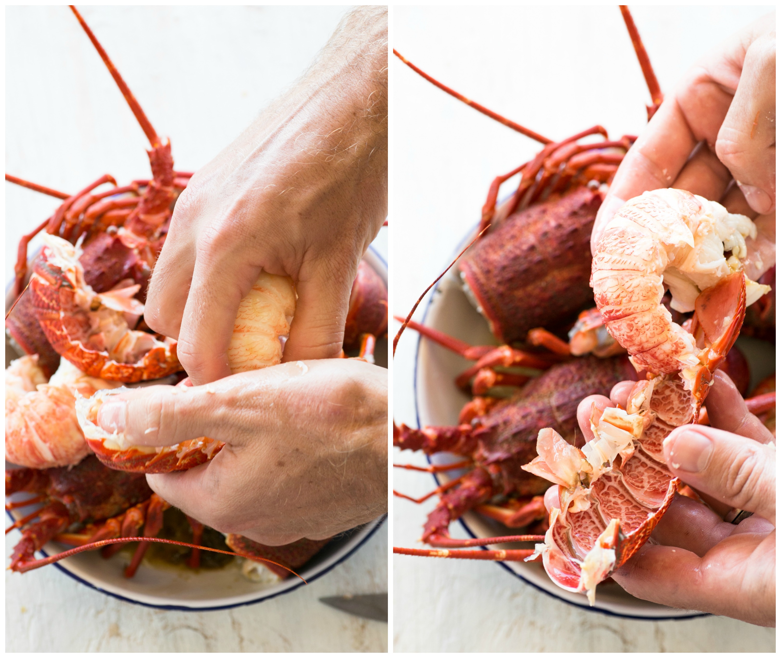 The Freshest Crayfish Tails in Lemon Butter