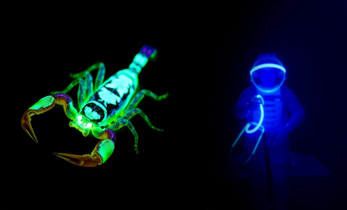 Fun And Weird Facts About UV Light