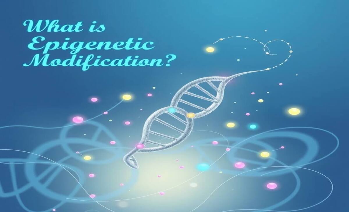 What Is Epigenetic Modification