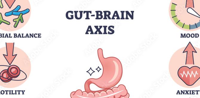 gut brain skin routine tips