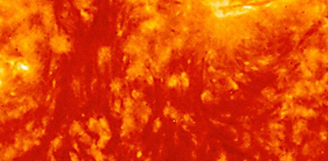 Sun protection and its importance quick how to build a skin care routine tips Sun protection and its importance quick how to build a skin care routine tips