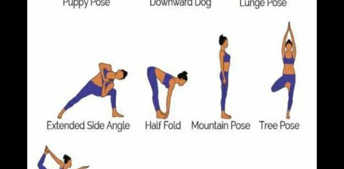 beginner yoga routine for flexibility beginner yoga routine for flexibility