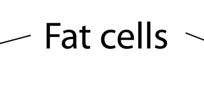 cellulite reduction exercises and remedies