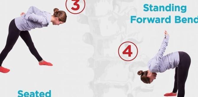 exercises for better posture and body alignment