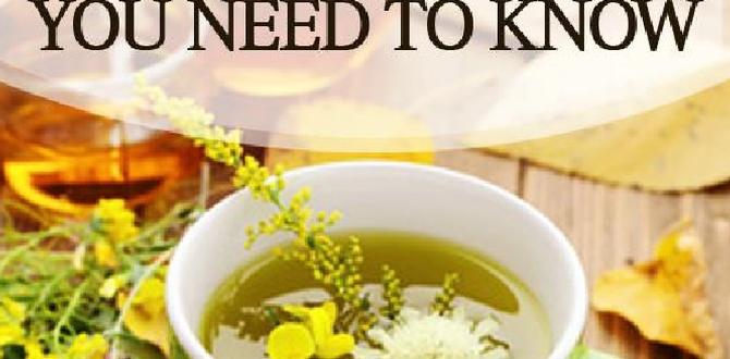 guide to natural remedies routine guide to natural remedies routine