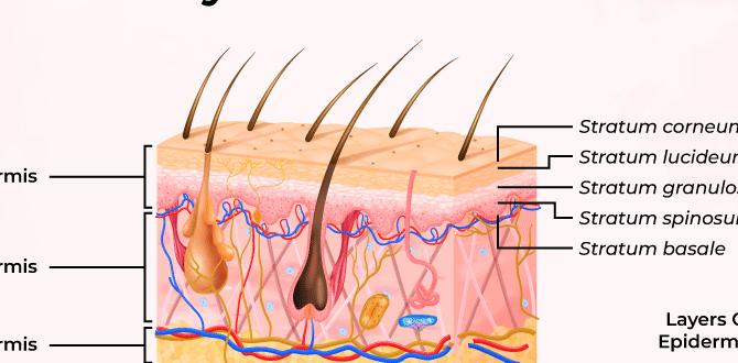 how are skin conditions different from skin types