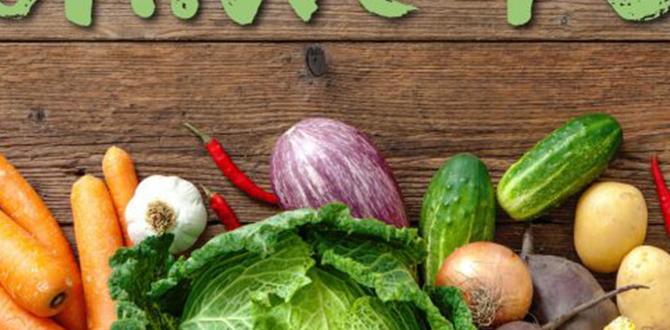 organic combination skin routine tips organic combination skin routine tips