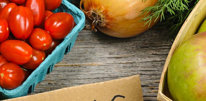 organic how to build a skin care routine routine plan