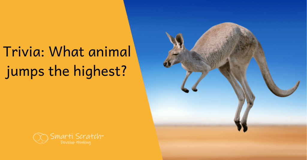What animal jumps the highest? Lunch Box Notes