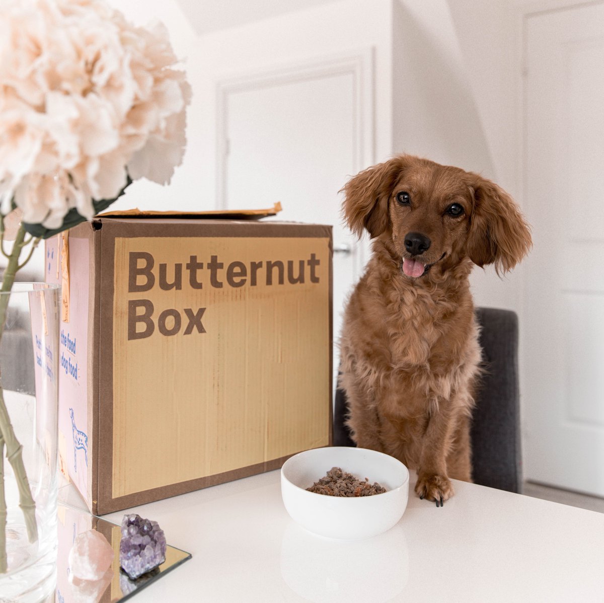 Leave a Reply Cancel reply