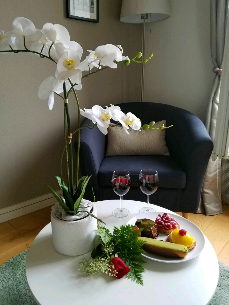 The Airbnb with a Perfect Paris View The Luv Aviatrix