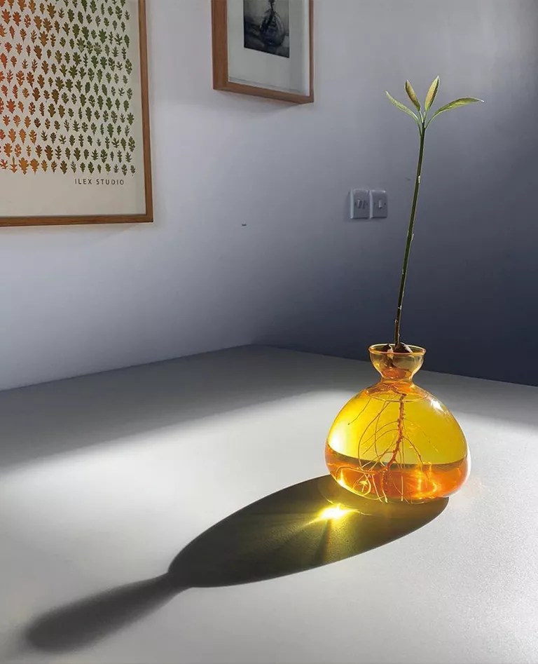 Ilex Studio Acorn Vase en Verre Vintage Jaune ILEX STUDIO THÉM