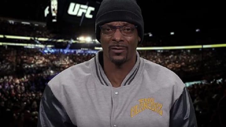 Snoop Dogg revealed as guest commentator in EA UFC 3