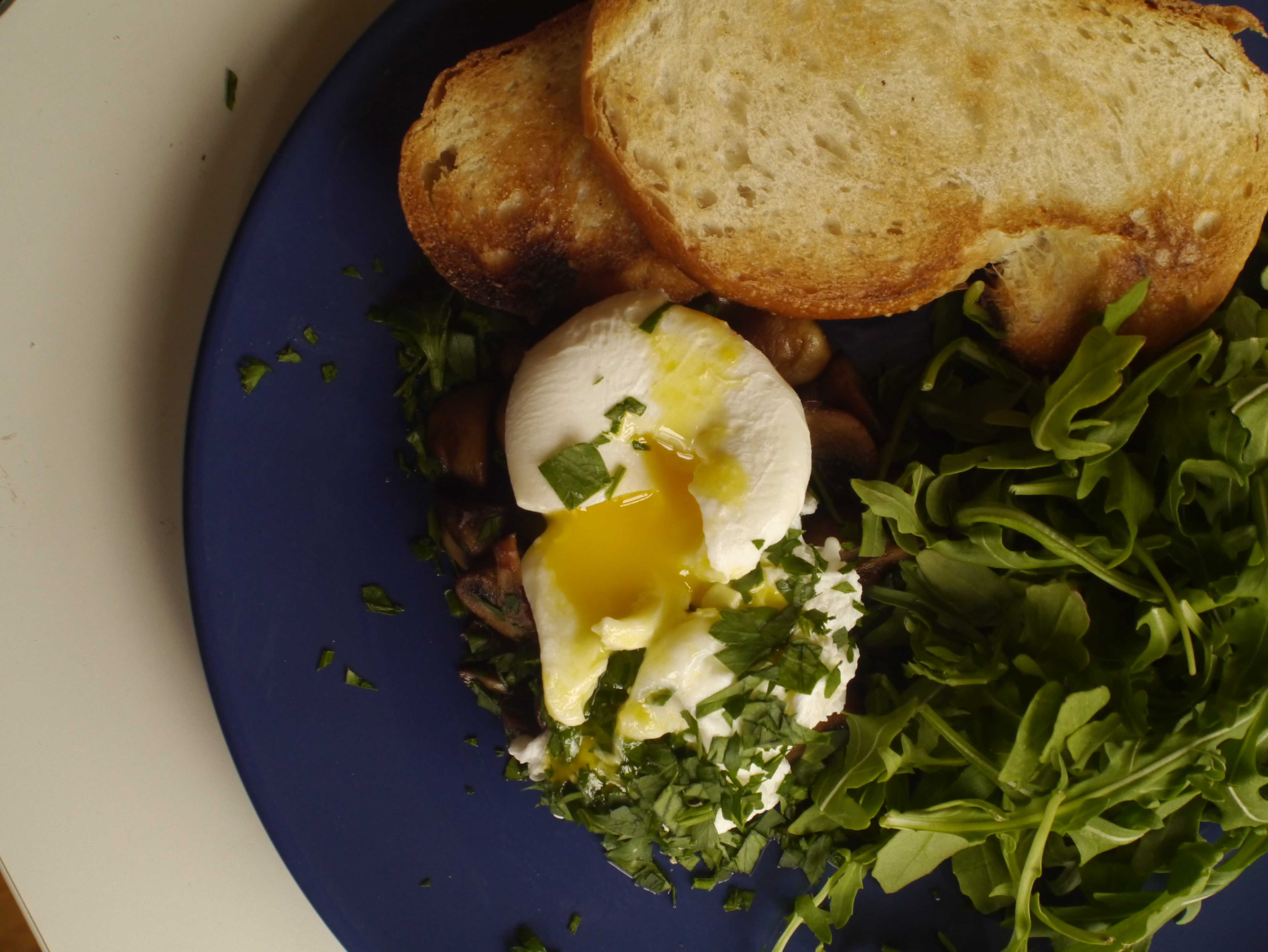 Dippy eggs? A user’s guide to runny yolks The Mac Weekly