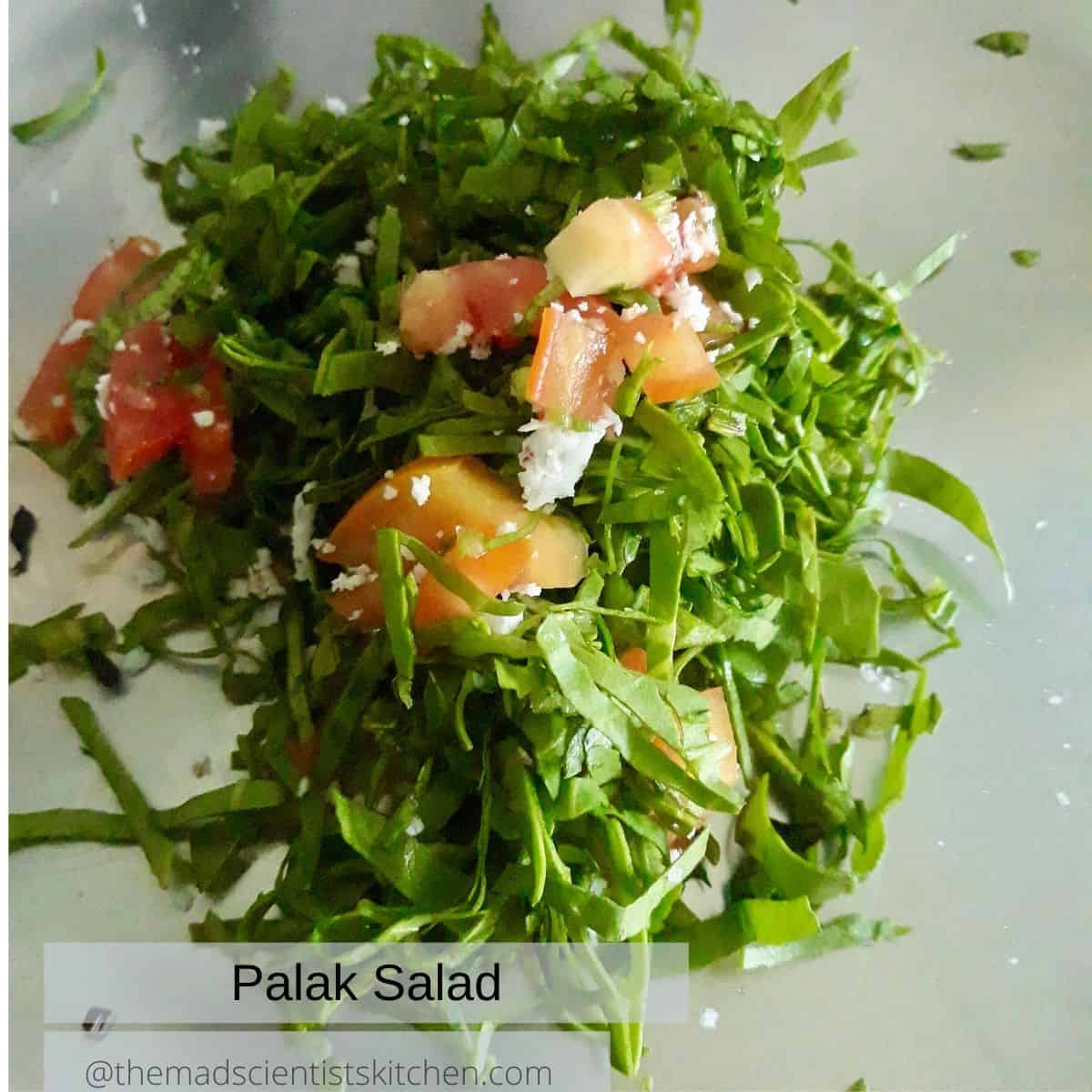 Palak Salad The Mad Scientists Kitchen