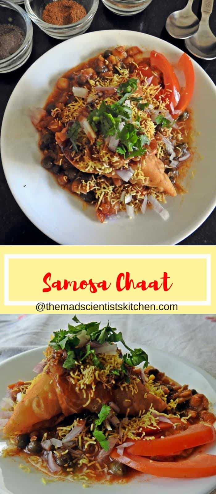 Samosa Chaat Recipe The Mad Scientist's Kitchen