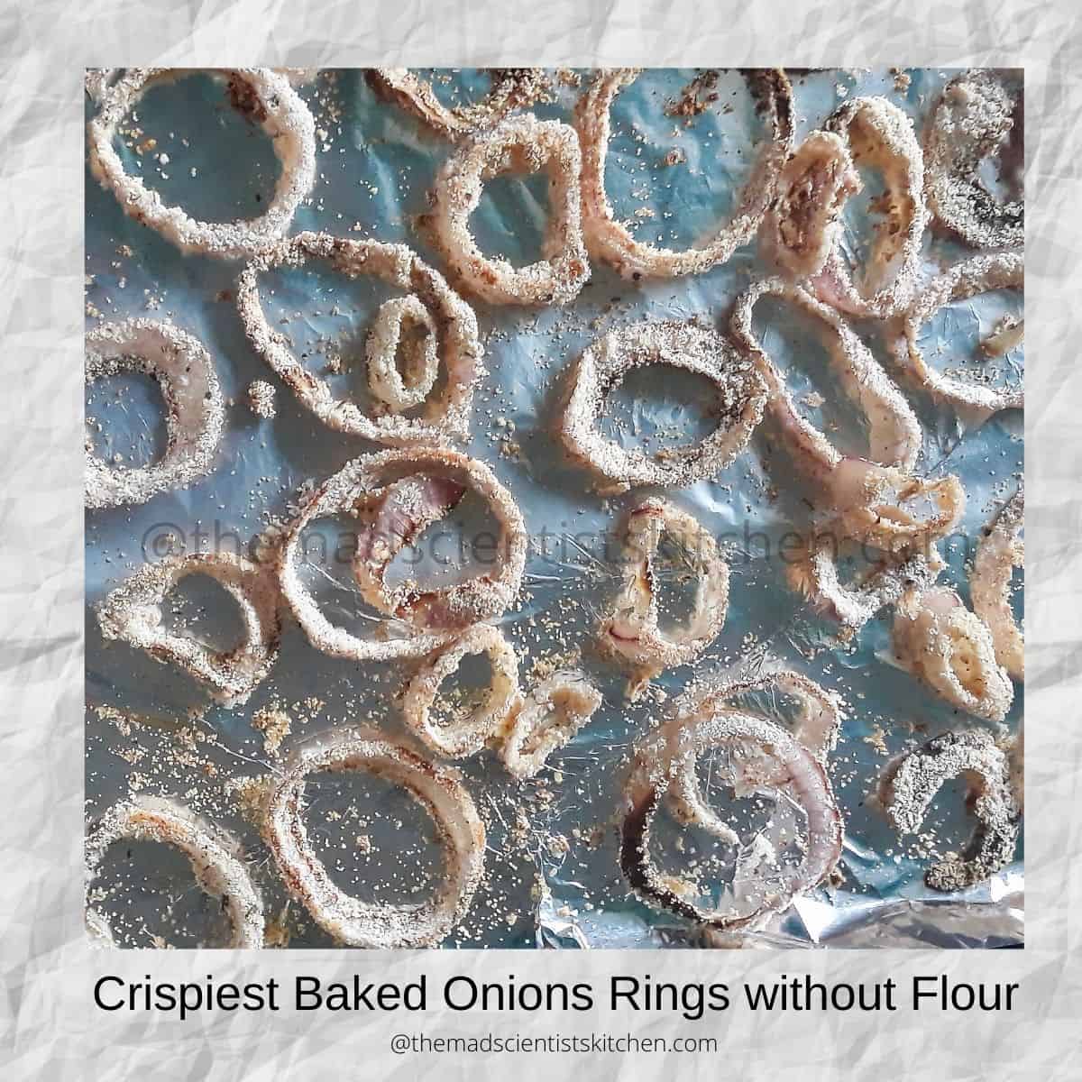 Crispiest Baked Onions Rings without Flour The Mad Scientists Kitchen