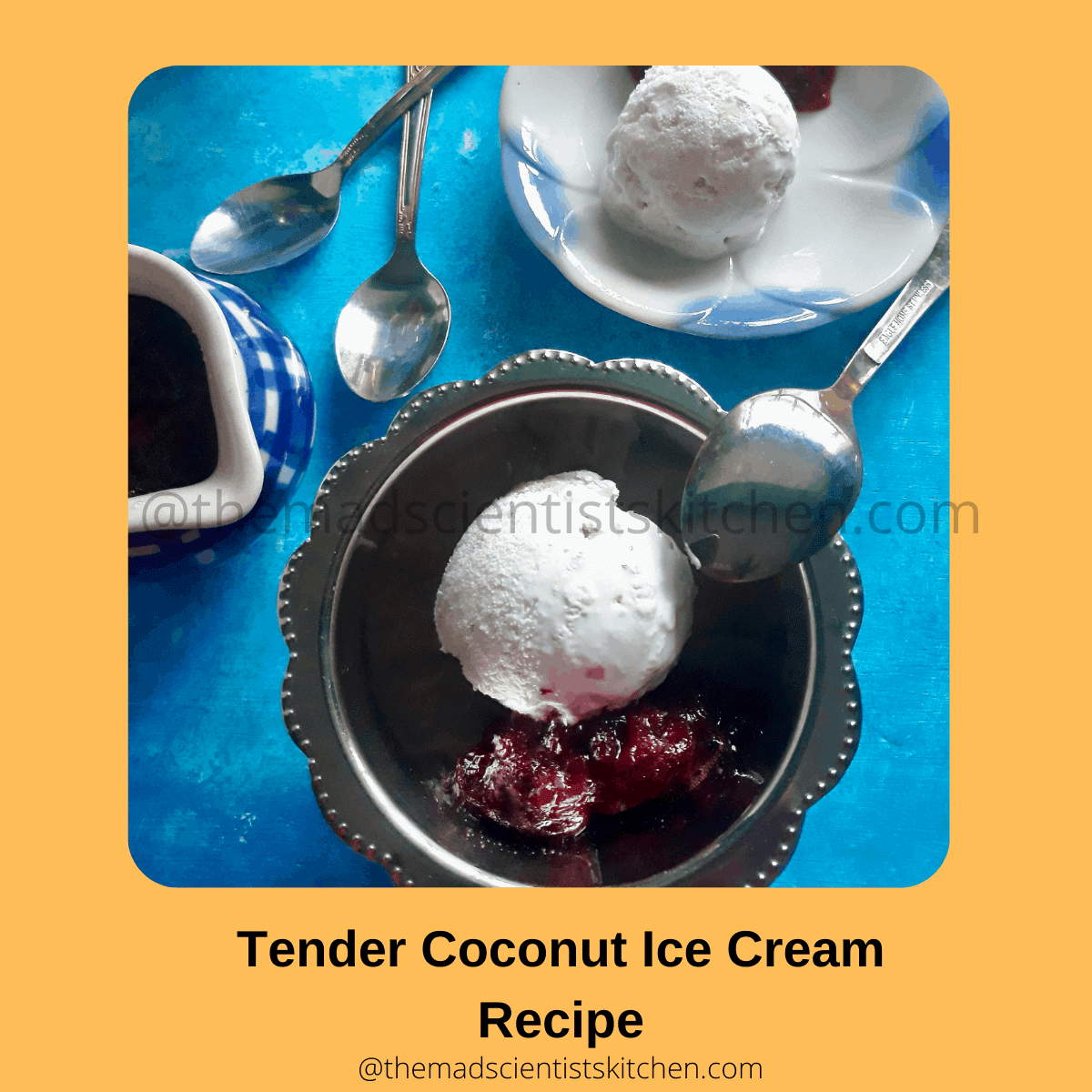 Tender Coconut Ice Cream Recipe The Mad Scientists Kitchen