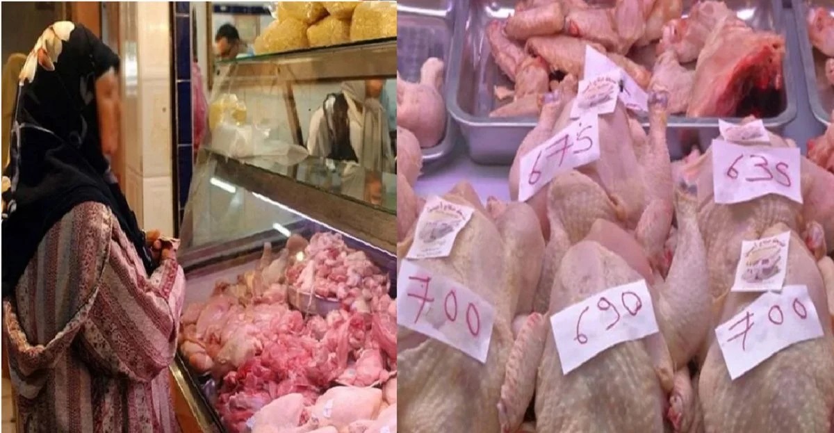 The Hidden Issues Behind Soaring Chicken Prices in Algeria The Maghreb Times