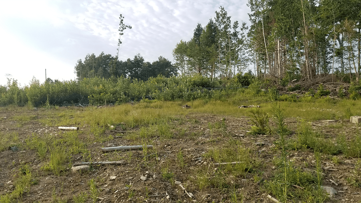 4.6 Acres Of Land For Sale In Burlington, Maine Penobscot County