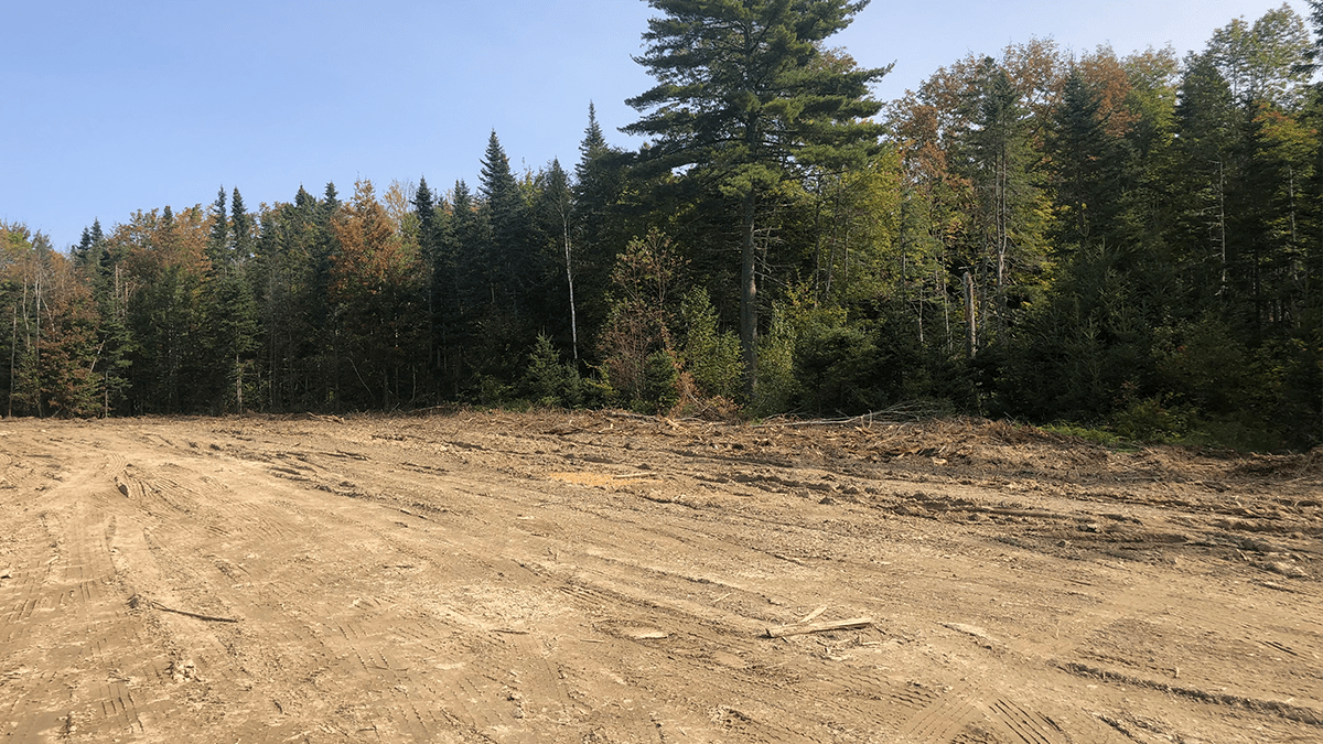 27.3 Acres Of Land For Sale In Springfield, Maine Penobscot County