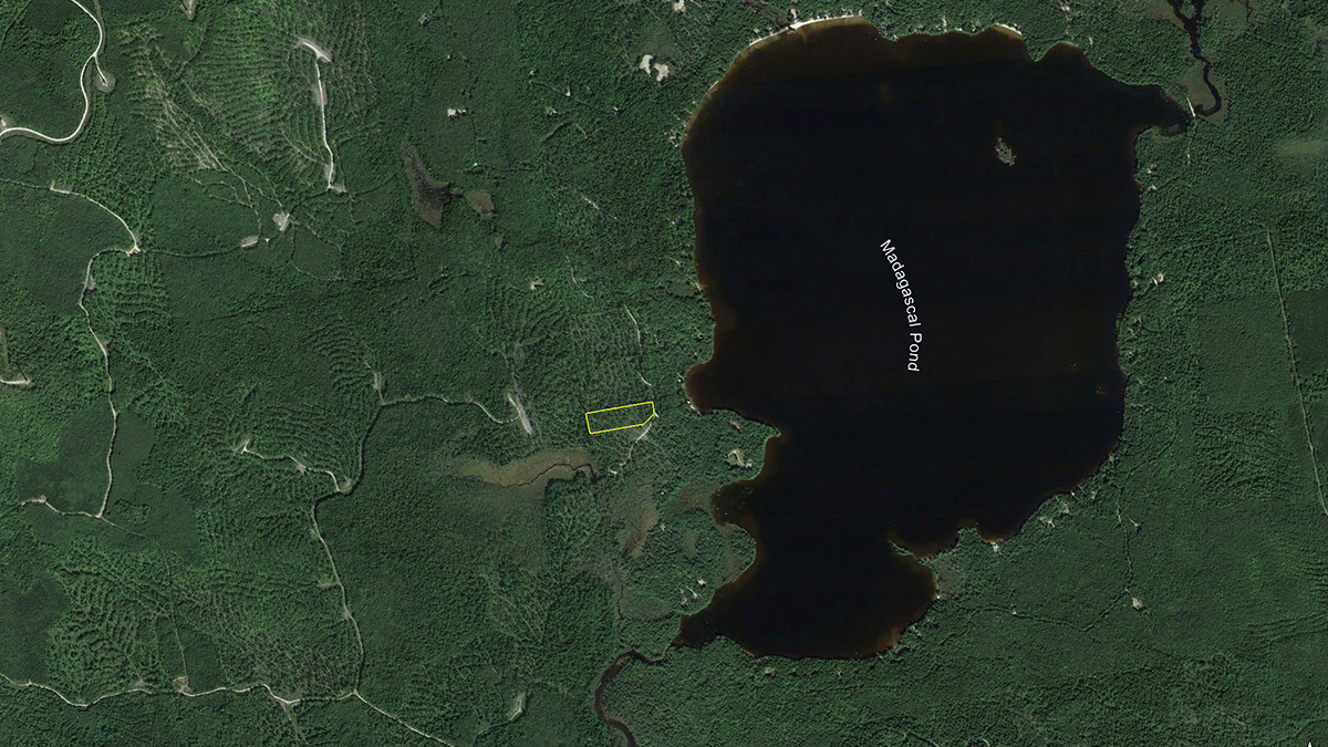 5 Acres Of Land For Sale In Burlington, Maine Penobscot County The