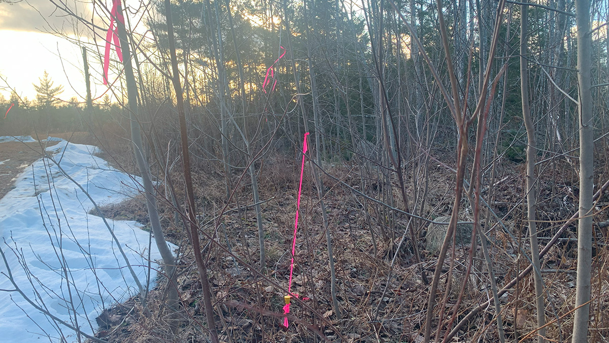 5 Acres Of Land For Sale In Burlington, Maine Penobscot County The