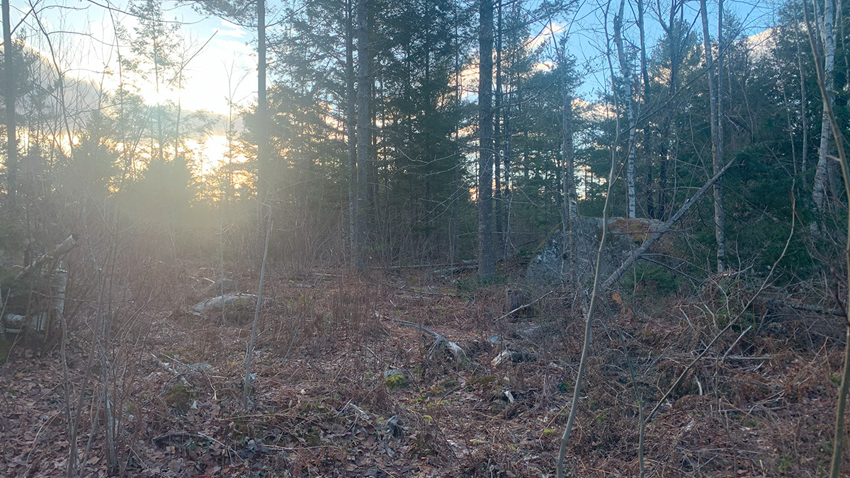 5 Acres Of Land For Sale In Burlington, Maine Penobscot County The