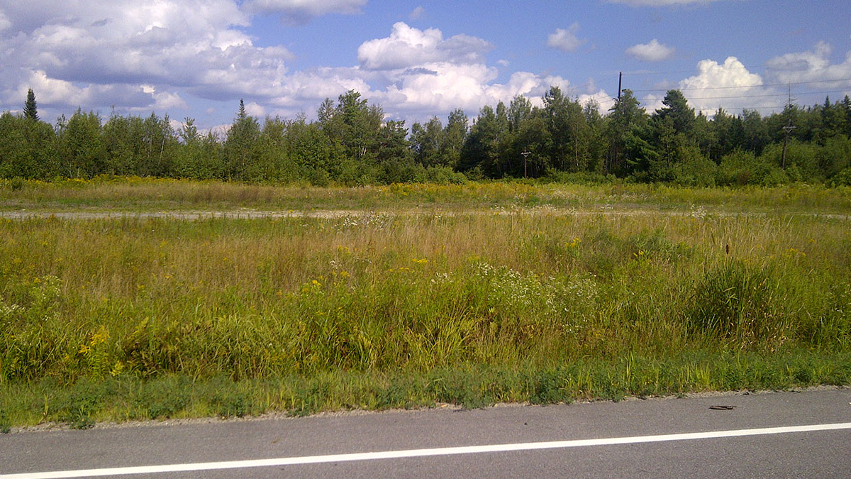 12 Acres Of Land For Sale In Chester, Maine Penobscot County The