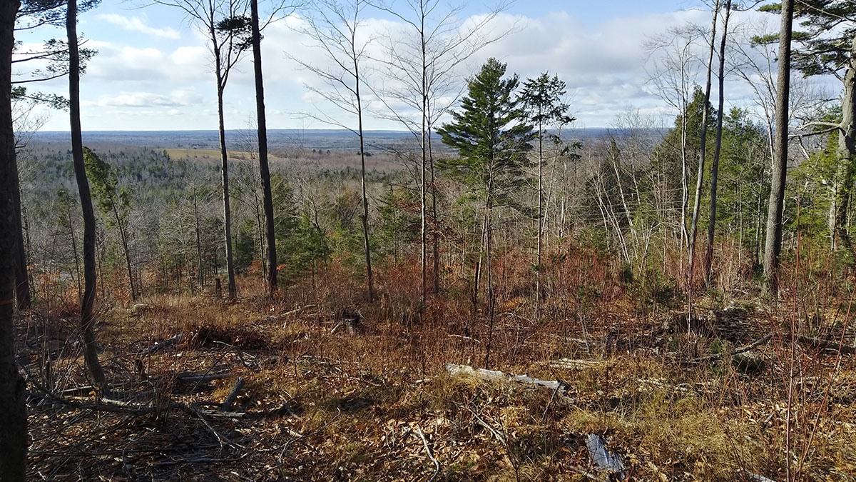 The Maine Land Store Where Your Own Piece Of Maine Is Waiting For You.