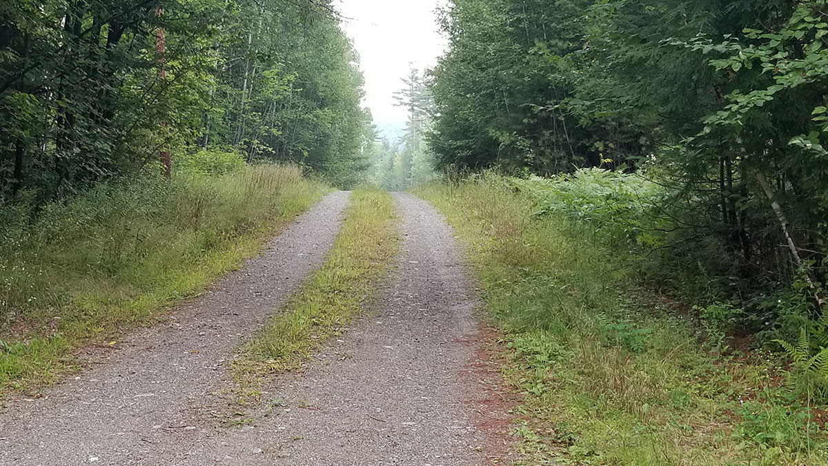 2.03 Acres of Land for Sale in lincoln, Maine Penobscot County The