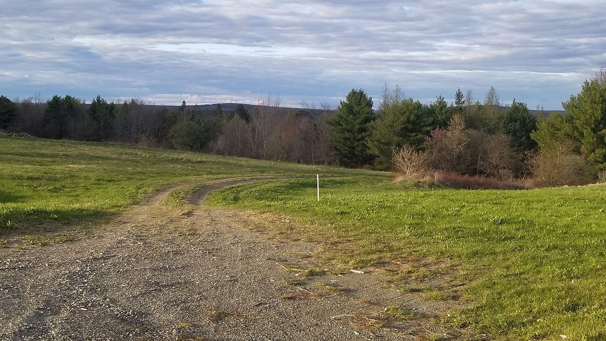 4 Acres Of Land For Sale In Weston, Maine Aroostook County The Maine Land Store