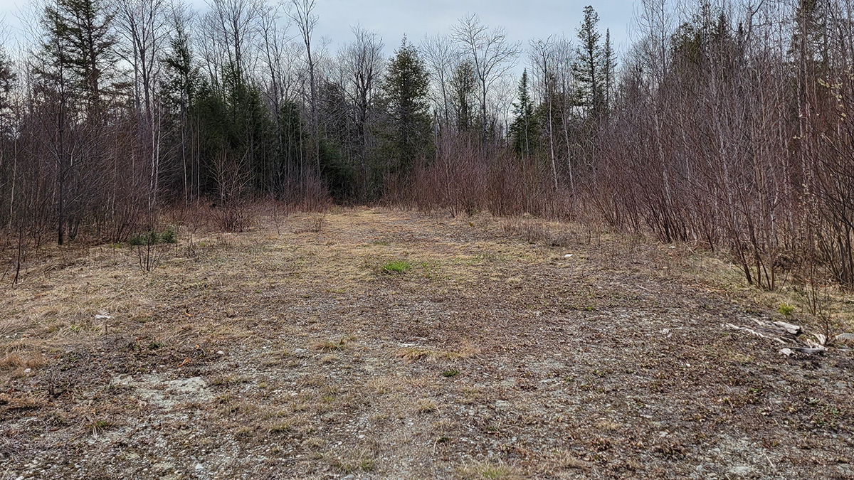 10 Acres Of Land For Sale In Woodville, Maine Penobscot County The