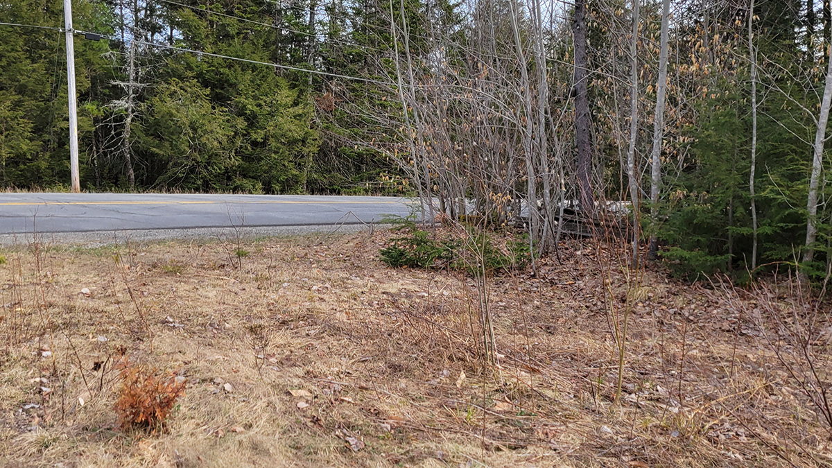 10 Acres Of Land For Sale In Woodville, Maine Penobscot County The