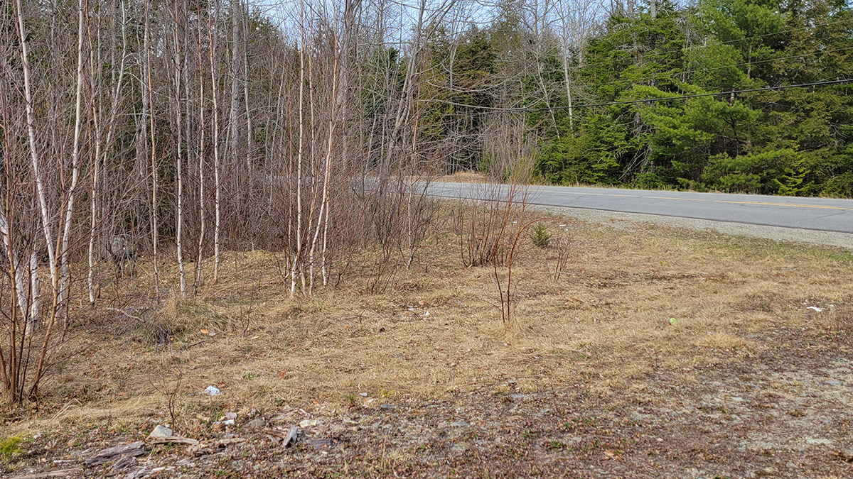 10 Acres Of Land For Sale In Woodville, Maine Penobscot County The