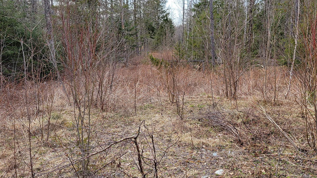 Property For Sale Woodville Maine at Melva Guerra blog