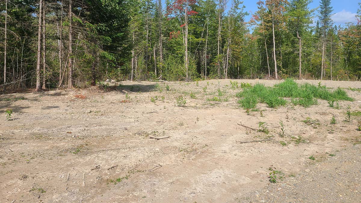 209 Acres Of Land For Sale In Howland, Maine Penobscot County The