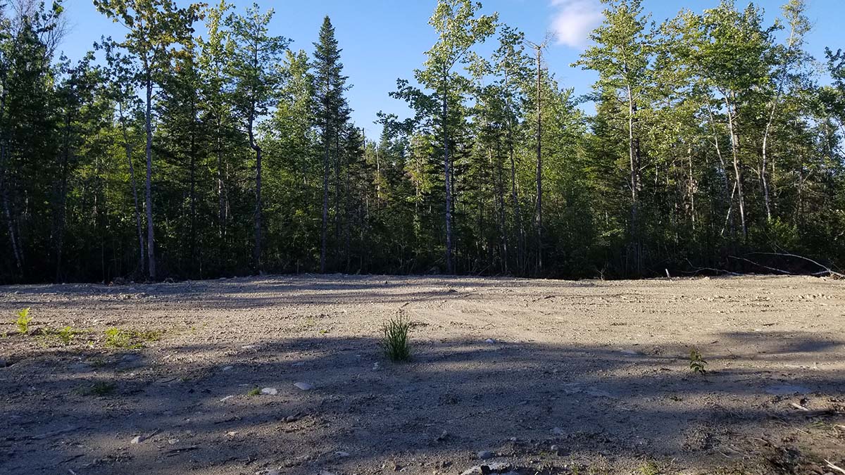 209 Acres Of Land For Sale In Howland, Maine Penobscot County The