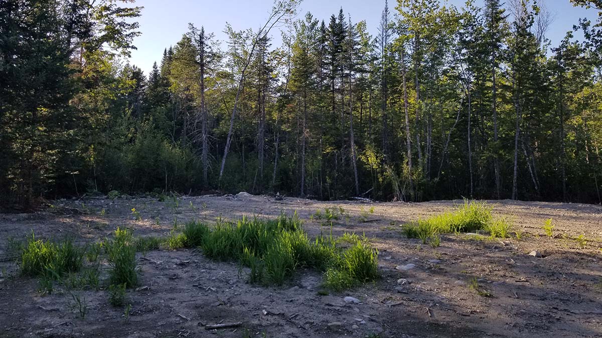 209 Acres Of Land For Sale In Howland, Maine Penobscot County The