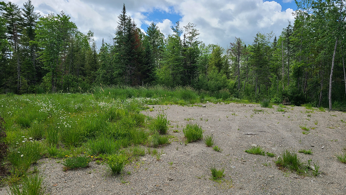 The Maine Land Store Where Your Own Piece Of Maine Is Waiting For You.