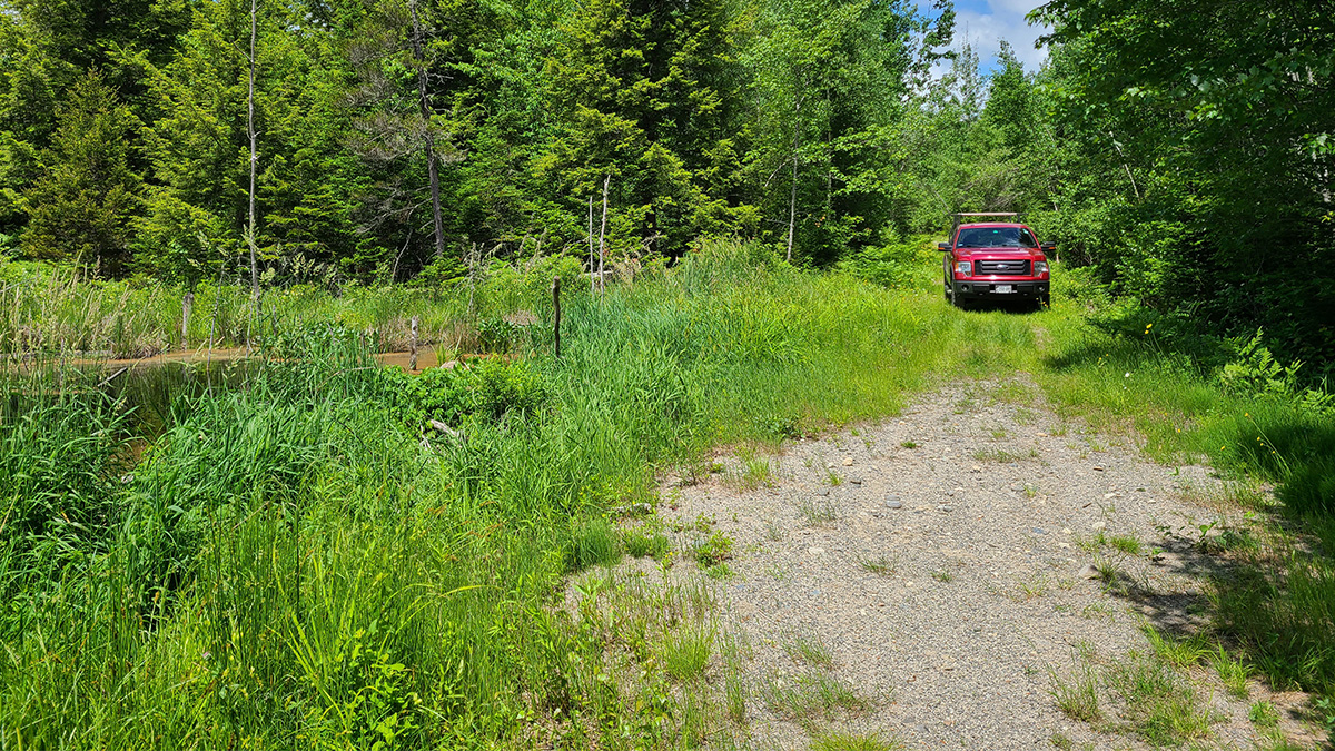 209 Acres Of Land For Sale In Howland, Maine Penobscot County The